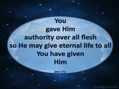 John 17:2 You Gave Him Authority Over All Flesh (blue)